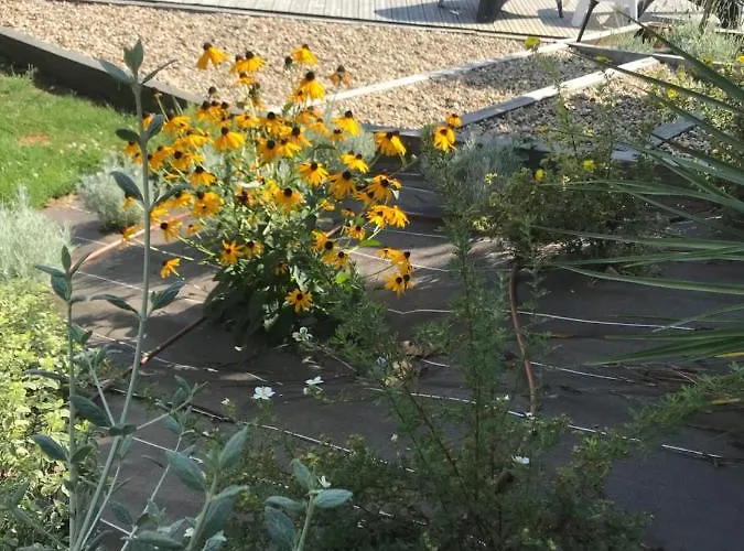 Casa vacanze La Maison D'élise *